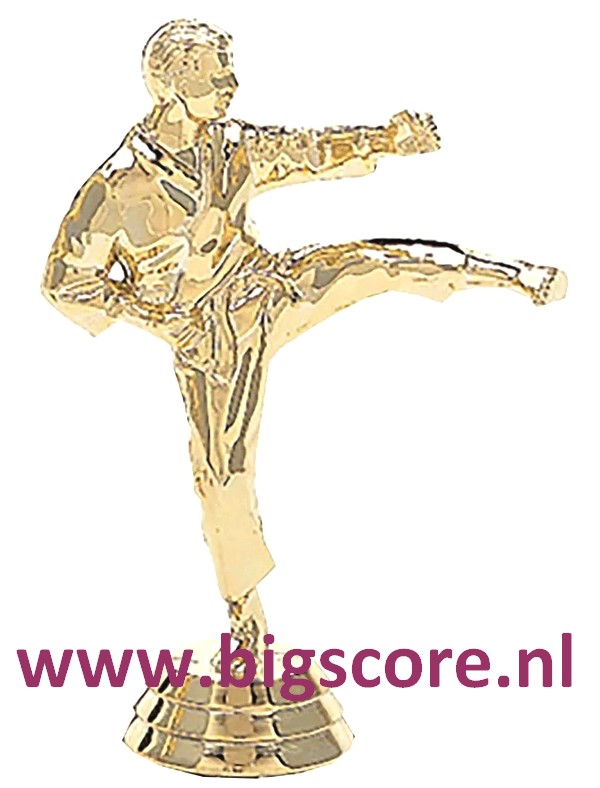 Karate Heer Figuur 423 Goud
